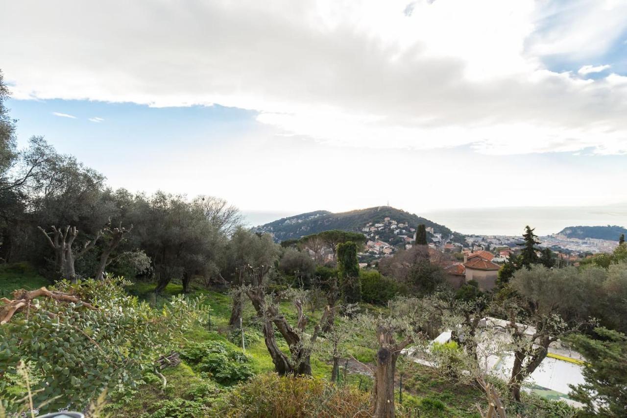 Nissa Vinaigrier Villa Nizza Esterno foto
